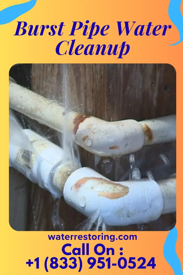 Burst Pipe Water Cleanup in Fullerton, PA