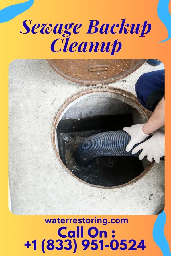 Sewage Backup Cleanup in Fullerton, PA