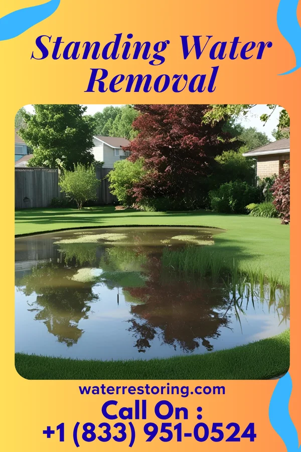 Standing Water Removal in Fullerton, PA